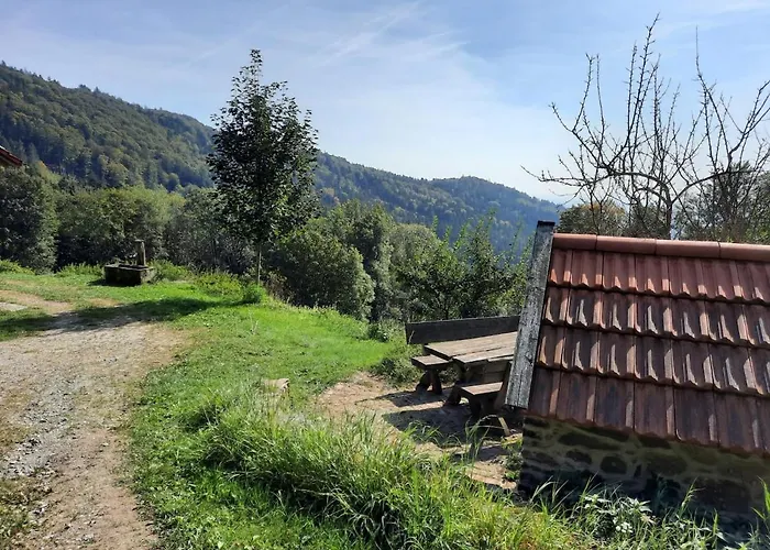 Kas Alm Am Grandsberg Schwarzach